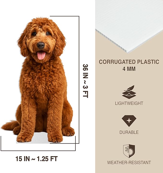 Dog - Labradoodle Life Size Standee - 3FT Freestanding Coroplast Cutouts | Pets Animal Standup Photo Booths, Birthday & Halloween Decorations