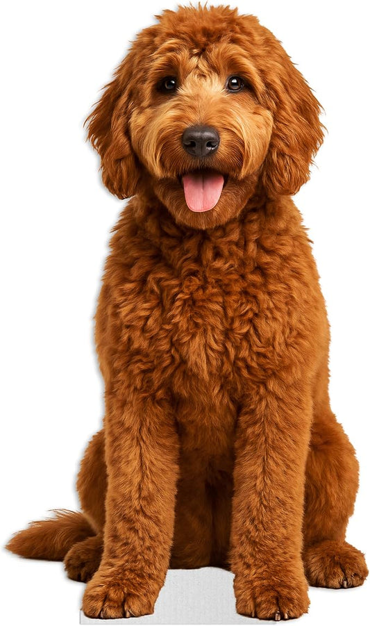 Dog - Labradoodle Life Size Standee - 3FT Freestanding Coroplast Cutouts | Pets Animal Standup Photo Booths, Birthday & Halloween Decorations