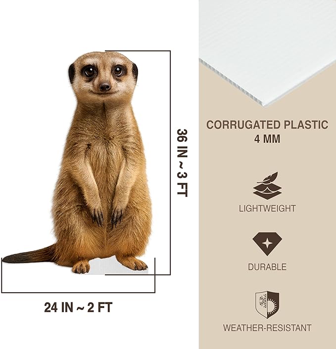 Meerkat Life Size Standee - 3FT Freestanding Coroplast Cutouts | Jungle Animal Standup Photo Booths, Jungle Party, Birthday & Halloween Decorations