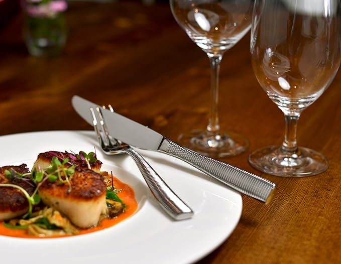 Fortessa Ringo 18/10 Stainless Steel Flatware Solid Handle Table Knife, Set of 12