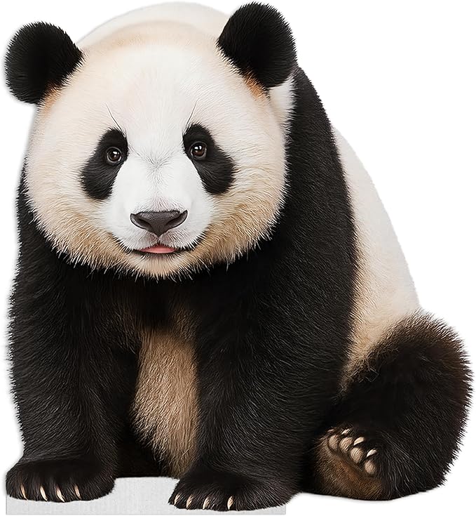 Panda - Standing Life Size Standee - 4FT Freestanding Coroplast Cutouts | Safari Animal Standup Photo Booths, Jungle Party, Birthday & Halloween Decorations