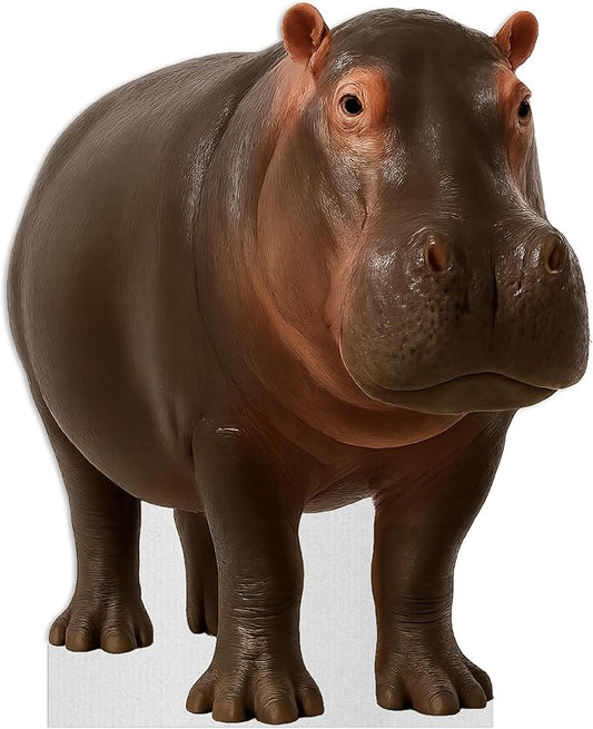 Hippo Life Size Standee - 4FT Freestanding Coroplast Cutouts | Safari Animal Standup Photo Booths, Jungle Party, Birthday & Halloween Decorations