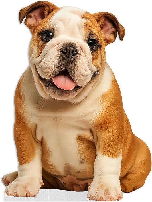 Bulldog - Puppy Life Size Standee - 2FT Freestanding Coroplast Cutouts | Pets Animal Standup Photo Booths, Birthday & Halloween Decorations