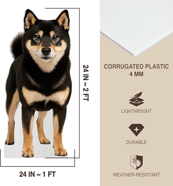 Dog - Shiba Inu Black & Tan Life Size Standee - 2FT Freestanding Coroplast Cutouts | Pets Animal Standup Photo Booths, Birthday & Halloween Decorations