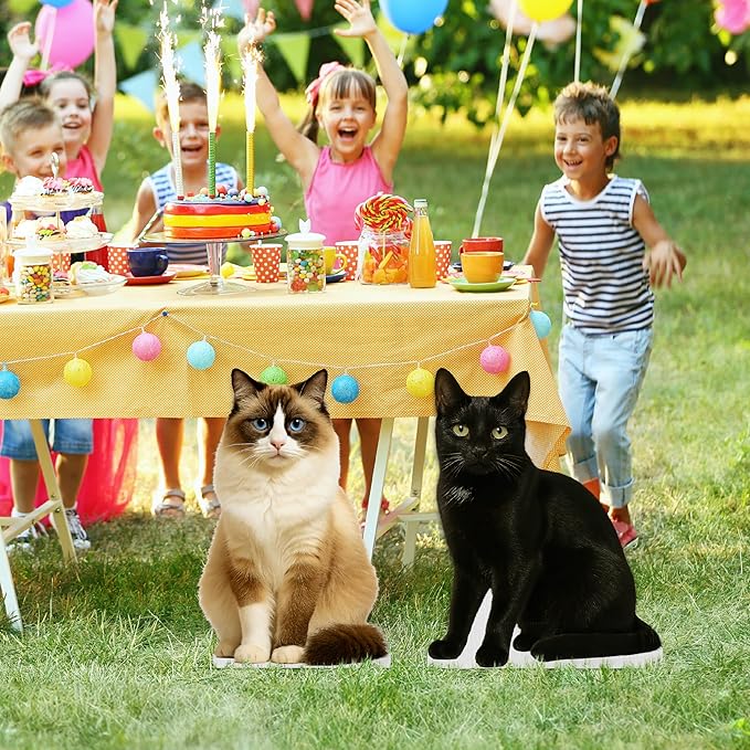 Cat - Ragdoll Life Size Standee - 2FT Freestanding Coroplast Cutouts | Pets Animal Standup Photo Booths, Birthday & Halloween Decorations