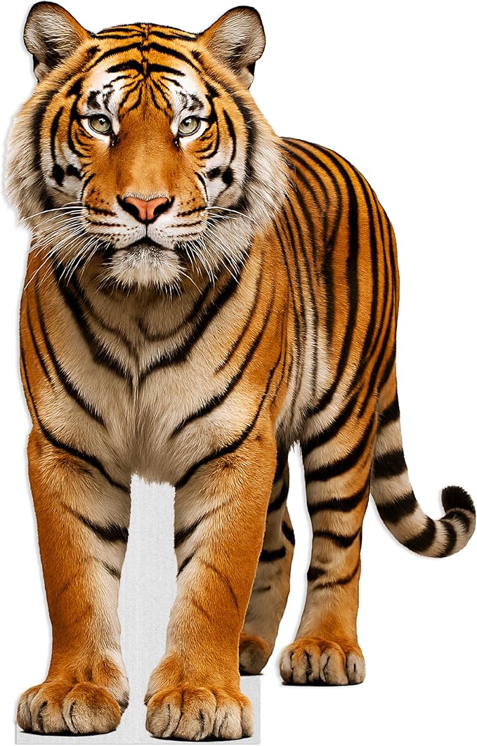 Tiger Life Size Standee - 4FT Freestanding Coroplast Cutouts | Safari Animal Standup Photo Booths, Jungle Party, Birthday & Halloween Decorations
