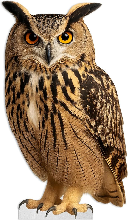 Owl Life Size Standee - 2FT Freestanding Coroplast Cutouts | Safari Animal Standup Photo Booths, Jungle Party, Birthday & Halloween Decorations