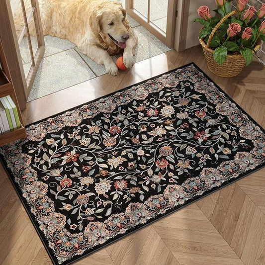 Rugcomf 2'x3' Entryway Rug - Paisley Pattern, Door Mat Indoor Entrance, Floral Vintage, Machine Washable, Non-Slip Low Pile Area Rug for Kitchen, Front Door, Kids Room - Black