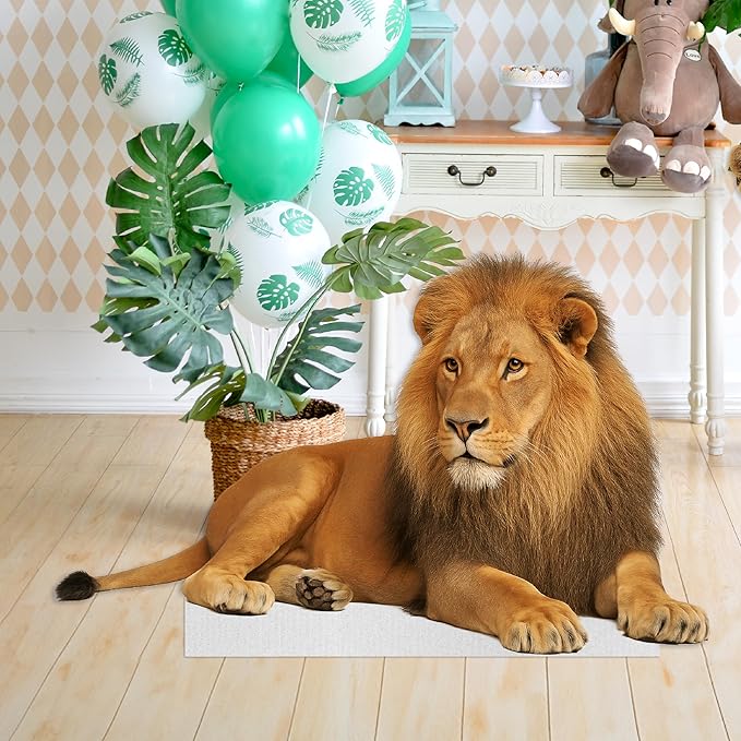 Lion - Lying Life Size Standee - 4FT Freestanding Coroplast Cutouts | Safari Animal Standup Photo Booths, Jungle Party, Birthday & Halloween Decorations