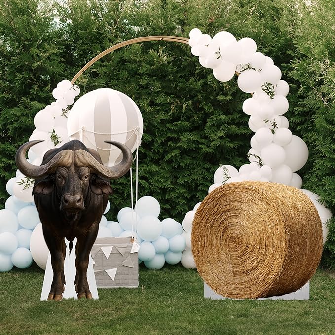 Buffalo Life Size Standee - 3FT Freestanding Coroplast Cutouts | Safari Animal Standup Photo Booths, Jungle Party, Birthday & Halloween Decorations