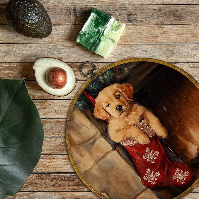 QZQE Vintage Christmas Golden Retriever Round Wall Art Decor Framed, Christmas Dog Circle Canvas Prints, Moody Winter Xmas Dog Stocking Circular Wall Hanging Decor for Home Bedroom, 10x10 Inch