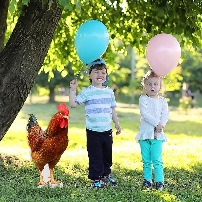 Rooster Life Size Standee - 2FT Freestanding Coroplast Cutouts | Farm Animal Standup Photo Booths, Birthday & Halloween Decorations