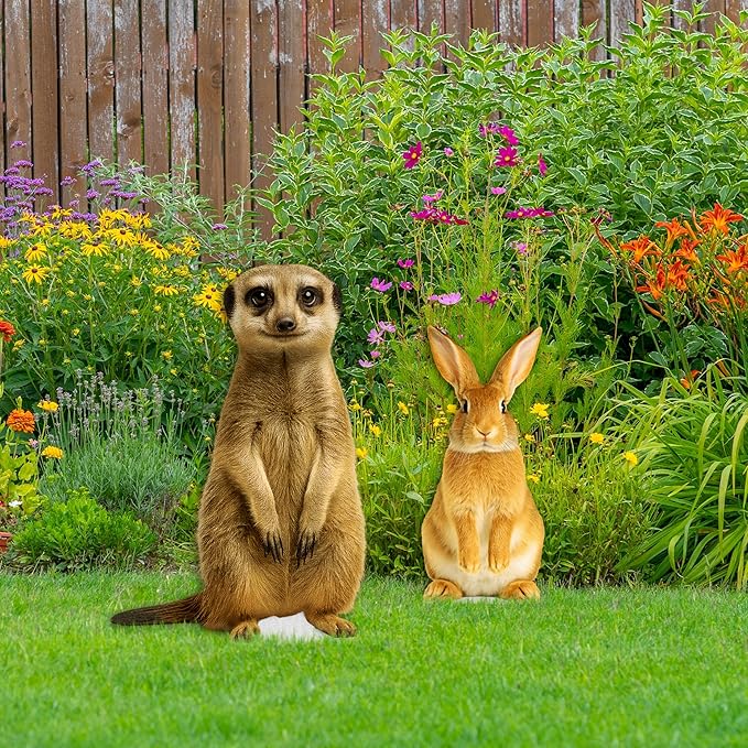 Meerkat Life Size Standee - 3FT Freestanding Coroplast Cutouts | Jungle Animal Standup Photo Booths, Jungle Party, Birthday & Halloween Decorations